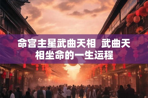 命宫主星武曲天相  武曲天相坐命的一生运程