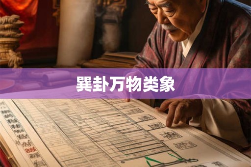 巽卦万物类象