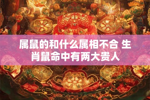属鼠的和什么属相不合 生肖鼠命中有两大贵人