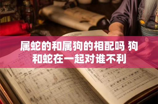 属蛇的和属狗的相配吗 狗和蛇在一起对谁不利 属蛇的和属狗的相配吗 狗和蛇在一起对谁不利