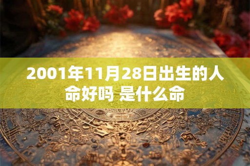 2001年11月28日出生的人命好吗 是什么命