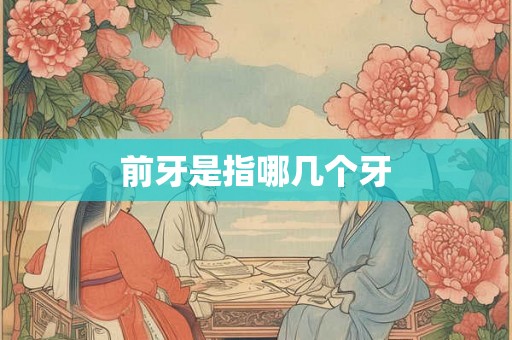前牙是指哪几个牙