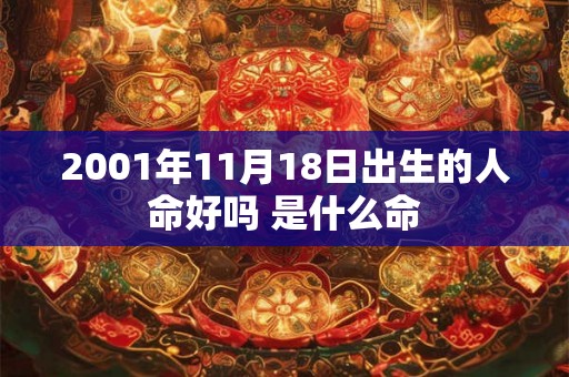 2001年11月18日出生的人命好吗 是什么命