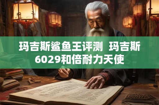 玛吉斯鲨鱼王评测  玛吉斯6029和倍耐力天使