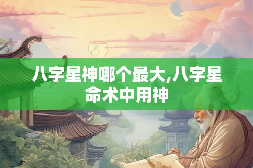 八字星神哪个最大,八字星命术中用神