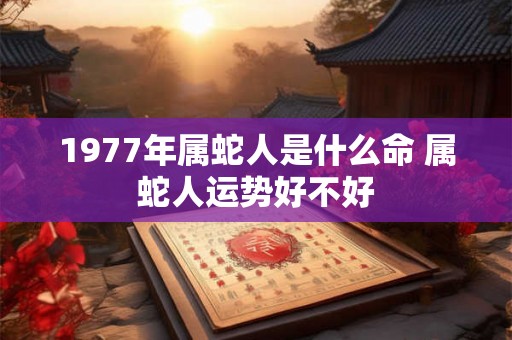 1977年属蛇人是什么命 属蛇人运势好不好