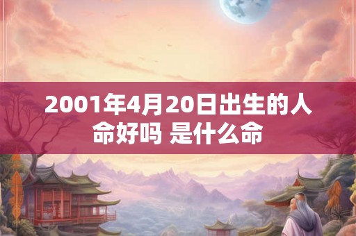 2001年4月20日出生的人命好吗 是什么命