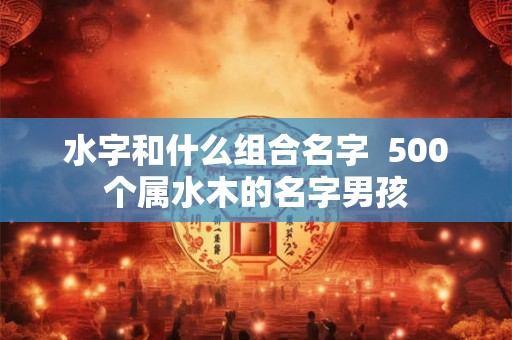 水字和什么组合名字  500个属水木的名字男孩