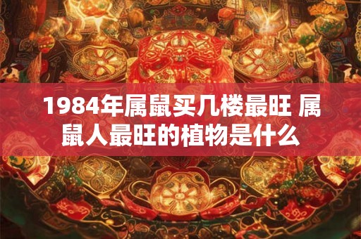 1984年属鼠买几楼最旺 属鼠人最旺的植物是什么