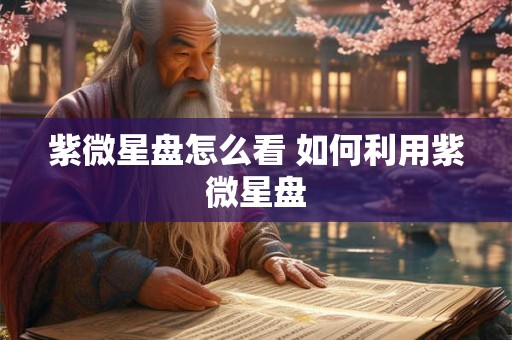 紫微星盘怎么看 如何利用紫微星盘