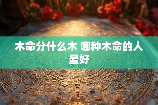 木命分什么木 哪种木命的人最好