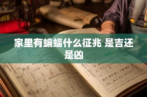 家里有蝙蝠什么征兆 是吉还是凶