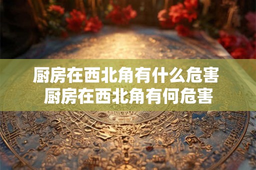 厨房在西北角有什么危害 厨房在西北角有何危害 厨房在西北角有什么危害 厨房在西北角有何危害