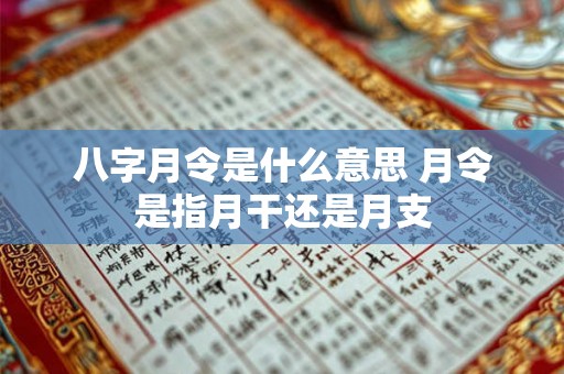 八字月令是什么意思 月令是指月干还是月支