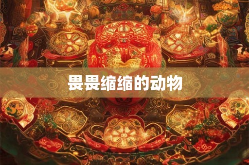 畏畏缩缩的动物
