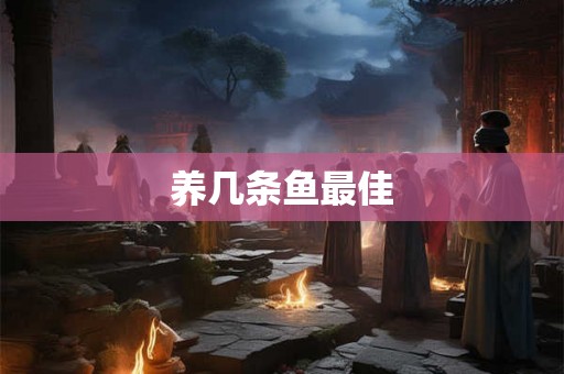 养几条鱼最佳