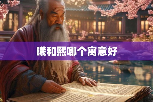 曦和熙哪个寓意好