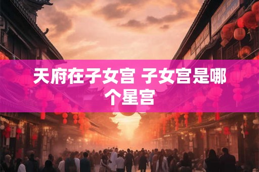 天府在子女宫 子女宫是哪个星宫