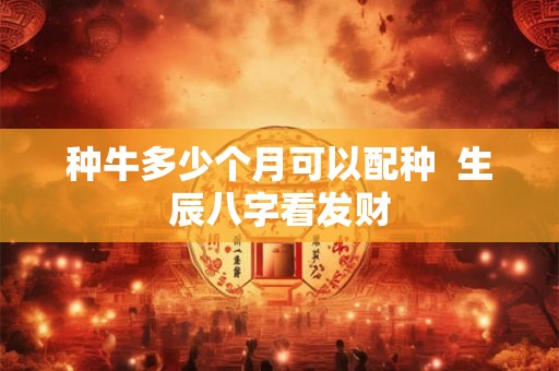 种牛多少个月可以配种  生辰八字看发财