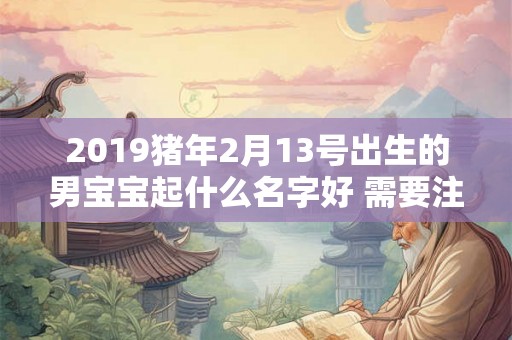 2019猪年2月13号出生的男宝宝起什么名字好 需要注意什么