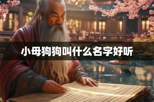 小母狗狗叫什么名字好听
