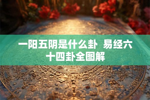 一阳五阴是什么卦  易经六十四卦全图解