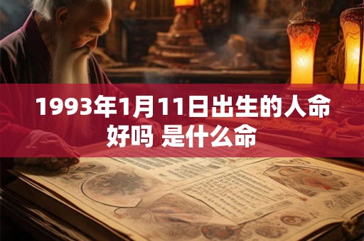 1993年1月11日出生的人命好吗 是什么命