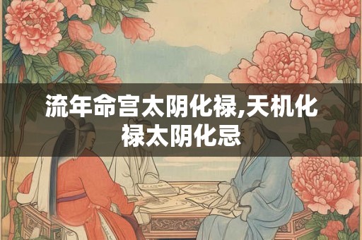 流年命宫太阴化禄,天机化禄太阴化忌