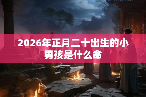 2026年正月二十出生的小男孩是什么命