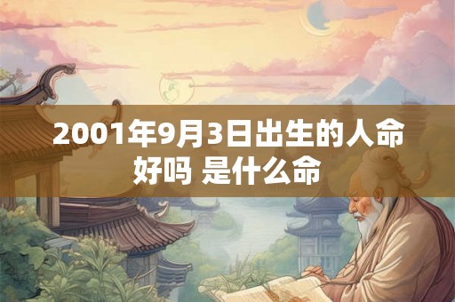 2001年9月3日出生的人命好吗 是什么命