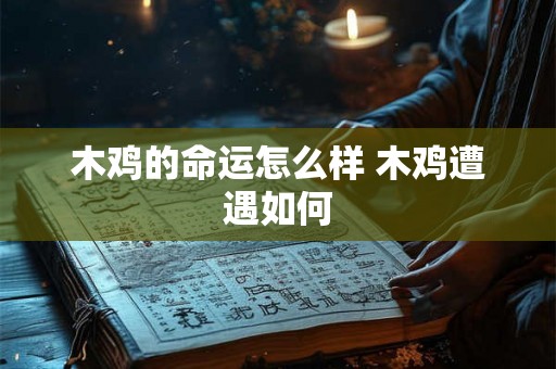 木鸡的命运怎么样 木鸡遭遇如何 木鸡的命运怎么样 木鸡遭遇如何