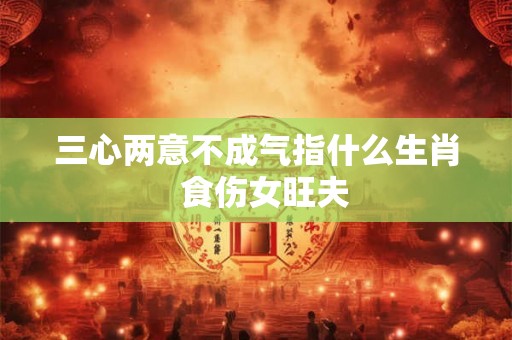 三心两意不成气指什么生肖  食伤女旺夫