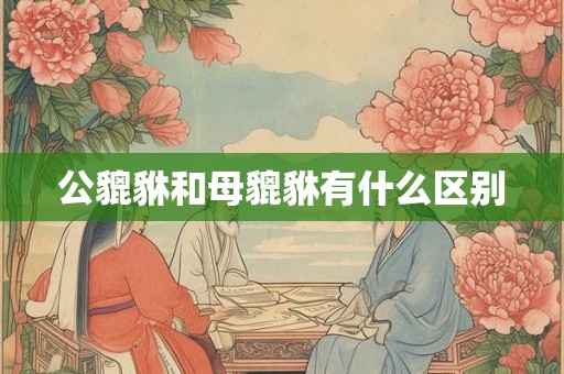 公貔貅和母貔貅有什么区别 公貔貅和母貔貅有什么区别
