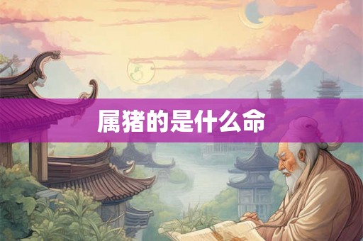 属猪的是什么命