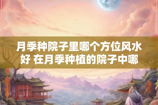 月季种院子里哪个方位风水好 在月季种植的院子中哪个方位的风水最为有利