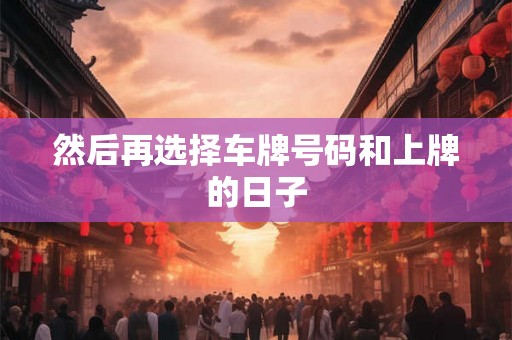 然后再选择车牌号码和上牌的日子 然后再选择车牌号码和上牌的日子