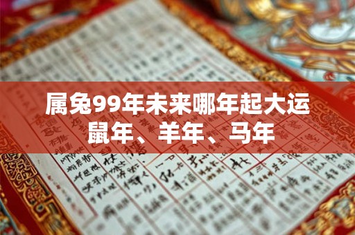 属兔99年未来哪年起大运 鼠年、羊年、马年