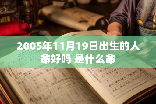 2005年11月19日出生的人命好吗 是什么命