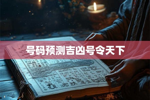 号码预测吉凶号令天下