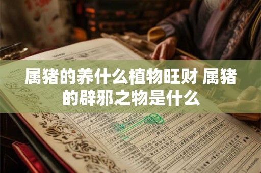 属猪的养什么植物旺财 属猪的辟邪之物是什么 属猪的养什么植物旺财 属猪的辟邪之物是什么