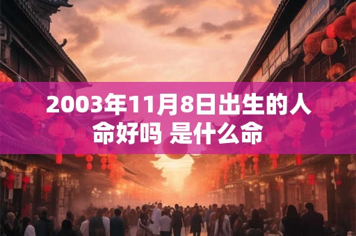 2003年11月8日出生的人命好吗 是什么命