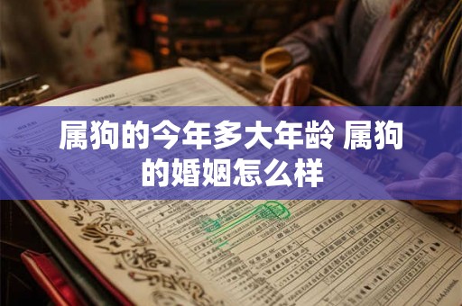 属狗的今年多大年龄 属狗的婚姻怎么样