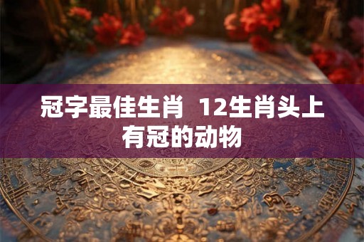冠字最佳生肖  12生肖头上有冠的动物