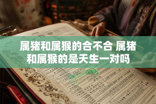 属猪和属猴的合不合 属猪和属猴的是天生一对吗