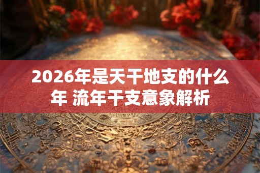 2026年是天干地支的什么年 流年干支意象解析