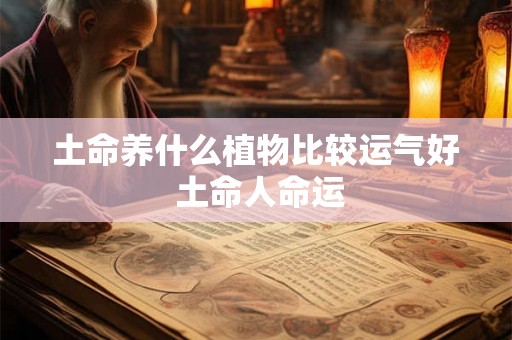 土命养什么植物比较运气好 土命人命运 土命养什么植物比较运气好 土命人命运