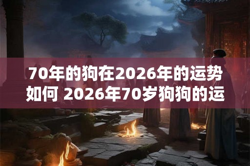 70年的狗在2026年的运势如何 2026年70岁狗狗的运势如何 70年的狗在2026年的运势如何 2026年70岁狗狗的运势如何