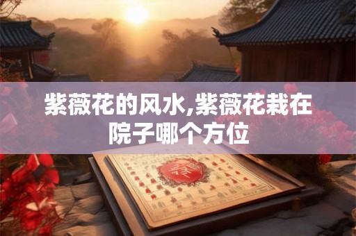 紫薇花的风水,紫薇花栽在院子哪个方位