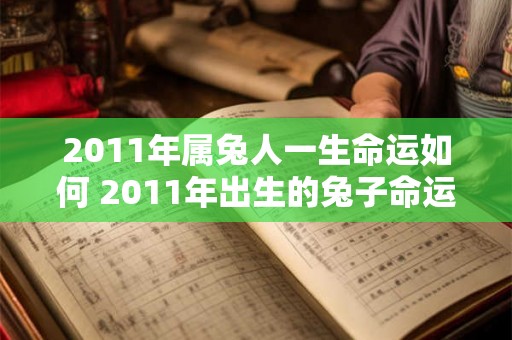 2011年属兔人一生命运如何 2011年出生的兔子命运如何