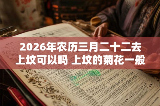 2026年农历三月二十二去上坟可以吗 上坟的菊花一般是什么品种